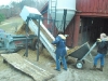 manure