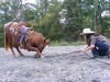 website2-057