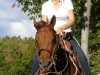 website2-065