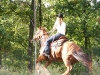 website2-067